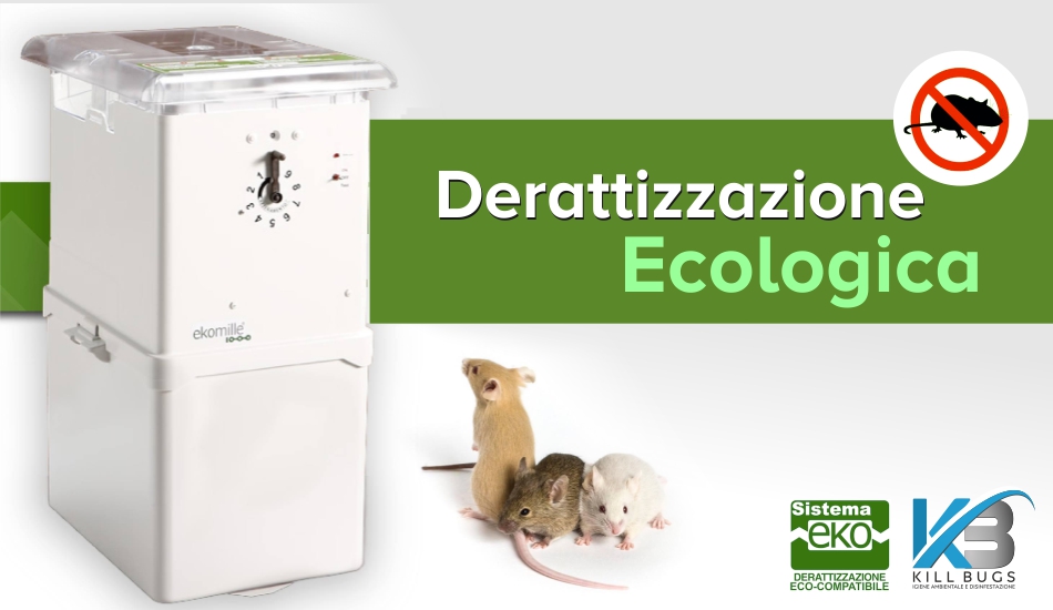 Derattizzazione ecologica Palermo, Kill Bugs