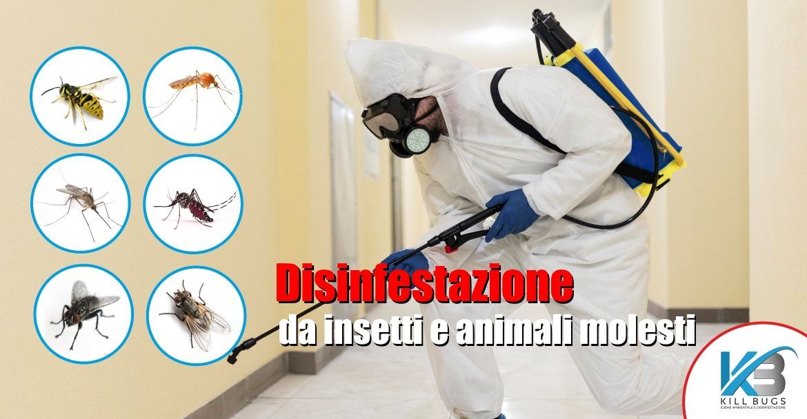 Foto post blog Kill Bugs
