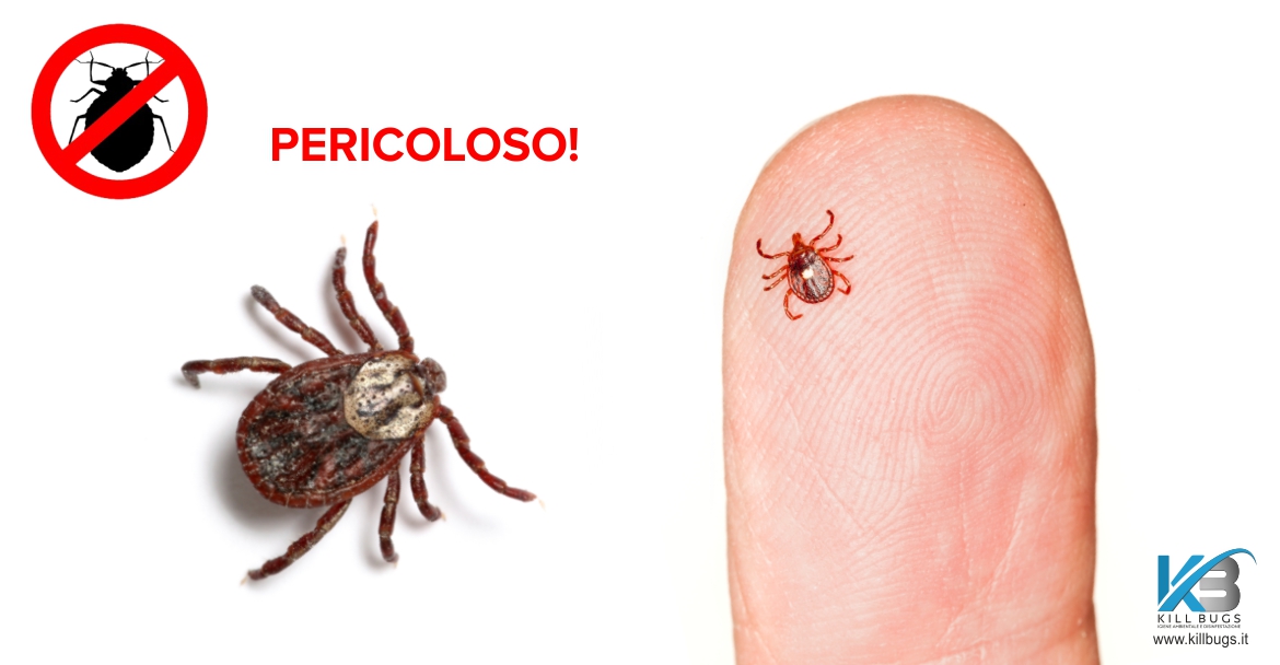 Disinfestazione Zecche a Palermo