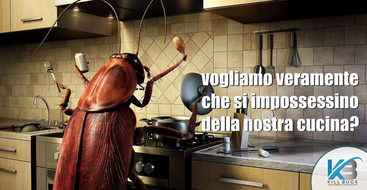 Foto post blog Kill Bugs