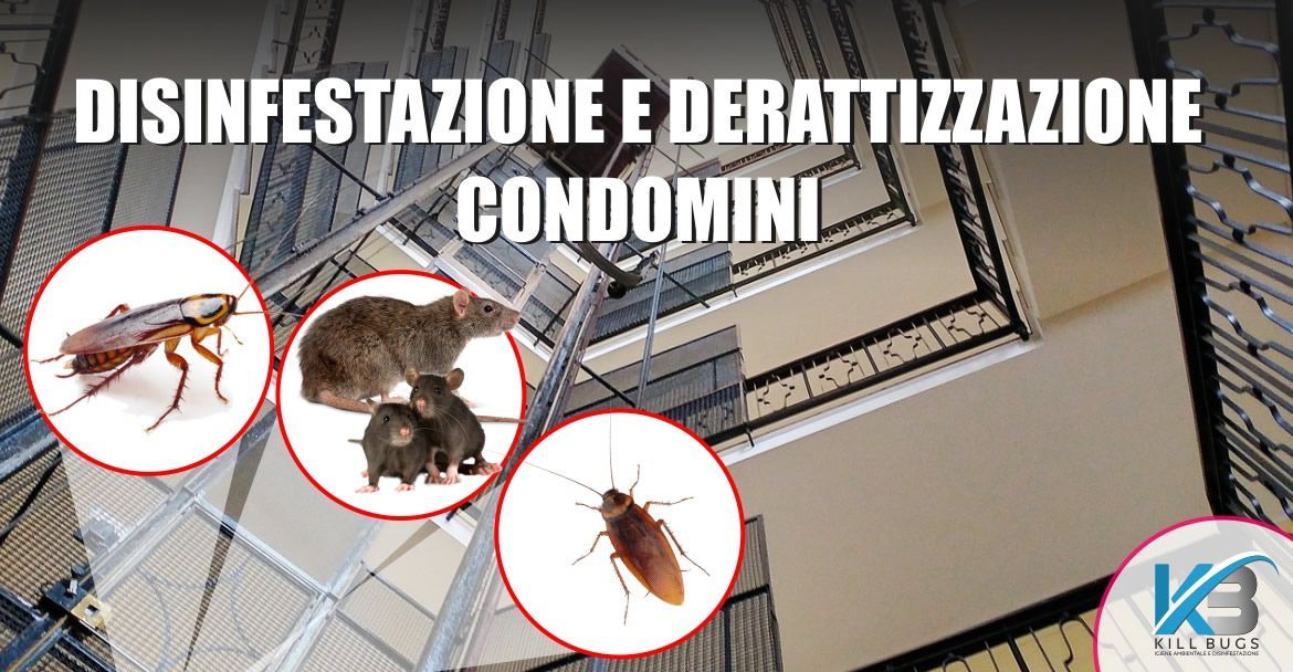 Foto post blog Kill Bugs