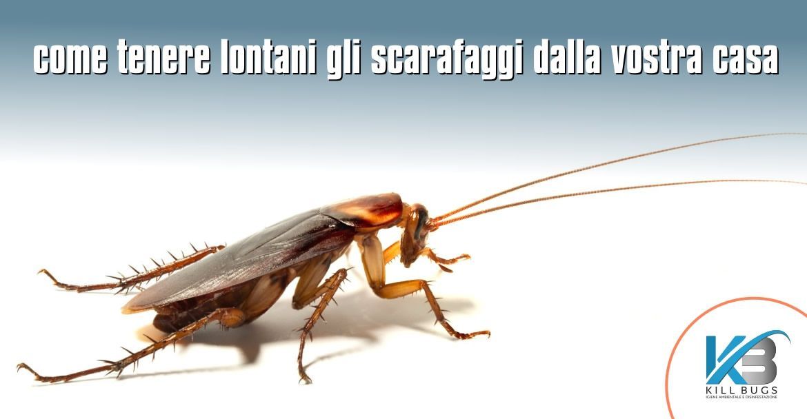 Foto post blog Kill Bugs