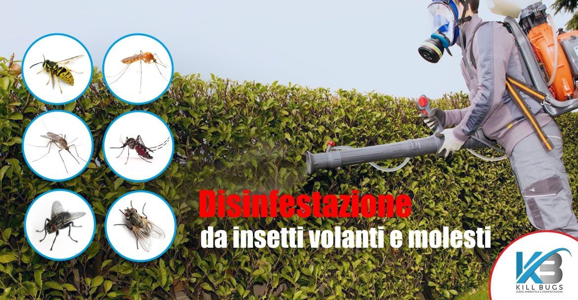 Foto post blog Kill Bugs
