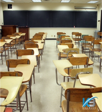 Disinfestazione Scuole e asili Palermo