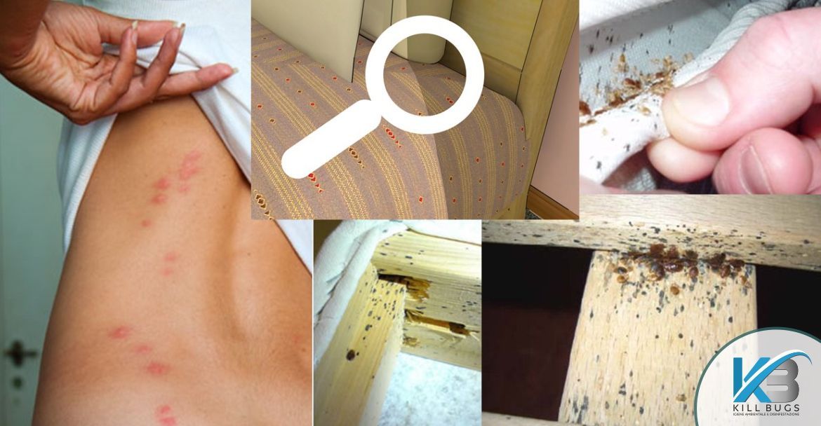 Foto post blog Kill Bugs