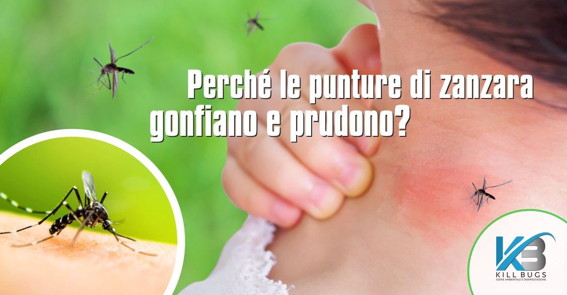 Foto post blog Kill Bugs