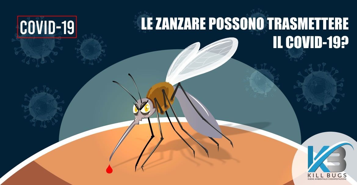 Foto post blog Kill Bugs