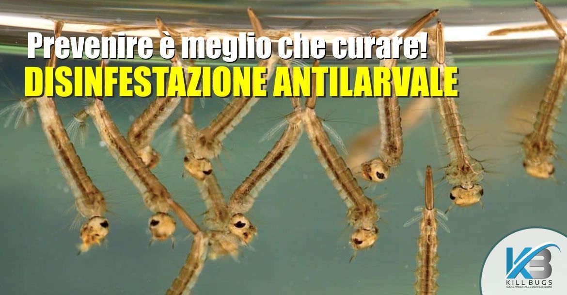 Foto post blog Kill Bugs