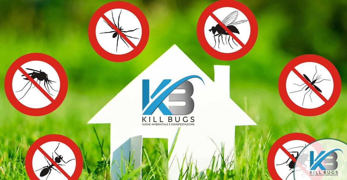 Foto post blog Kill Bugs