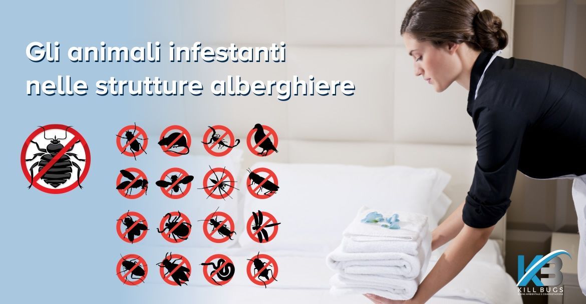 Foto post blog Kill Bugs